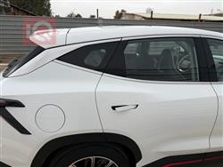 جيتور داشينج